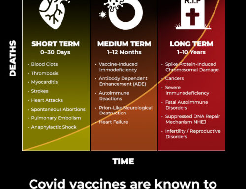 The Three Phases of Covid Injection Mortality